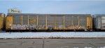 TTGX 988114